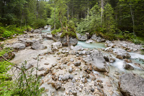 Gemeinde Ramsau Landkreis Berchtesgadener_Land Zauberwald am Hintersee (Dirschl Johann) Deutschland BGL